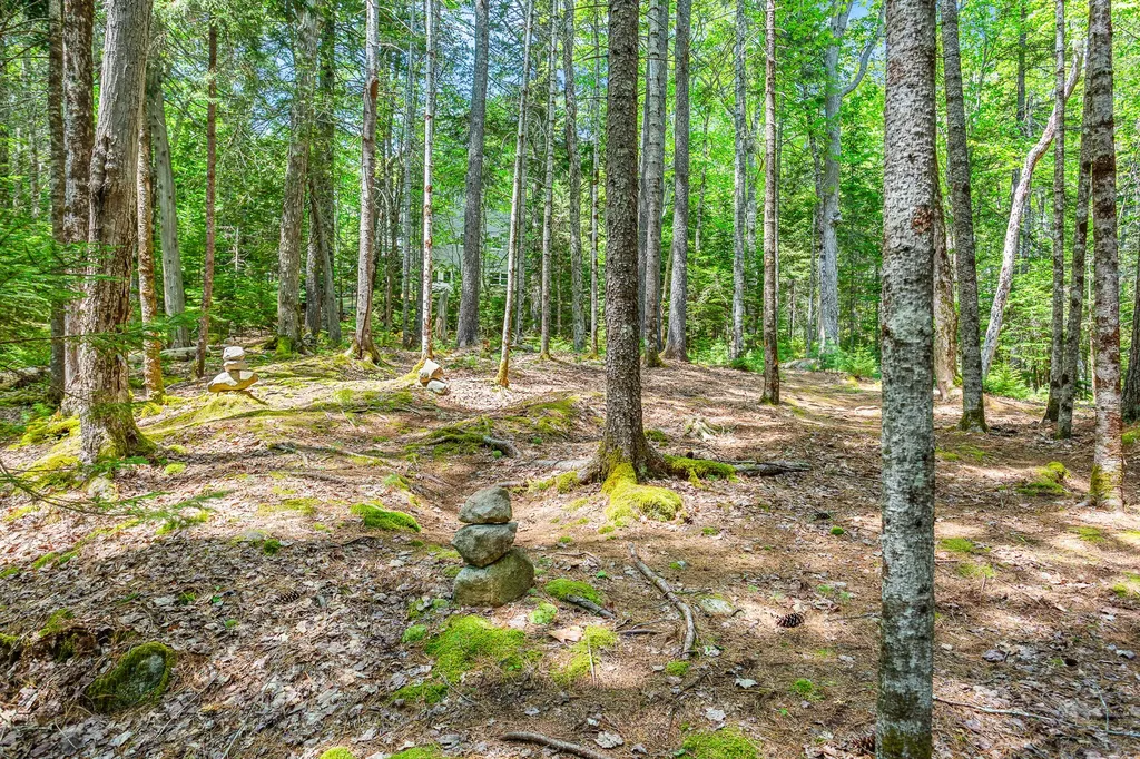 17 Denning Brook Road Mount Desert ME 04660