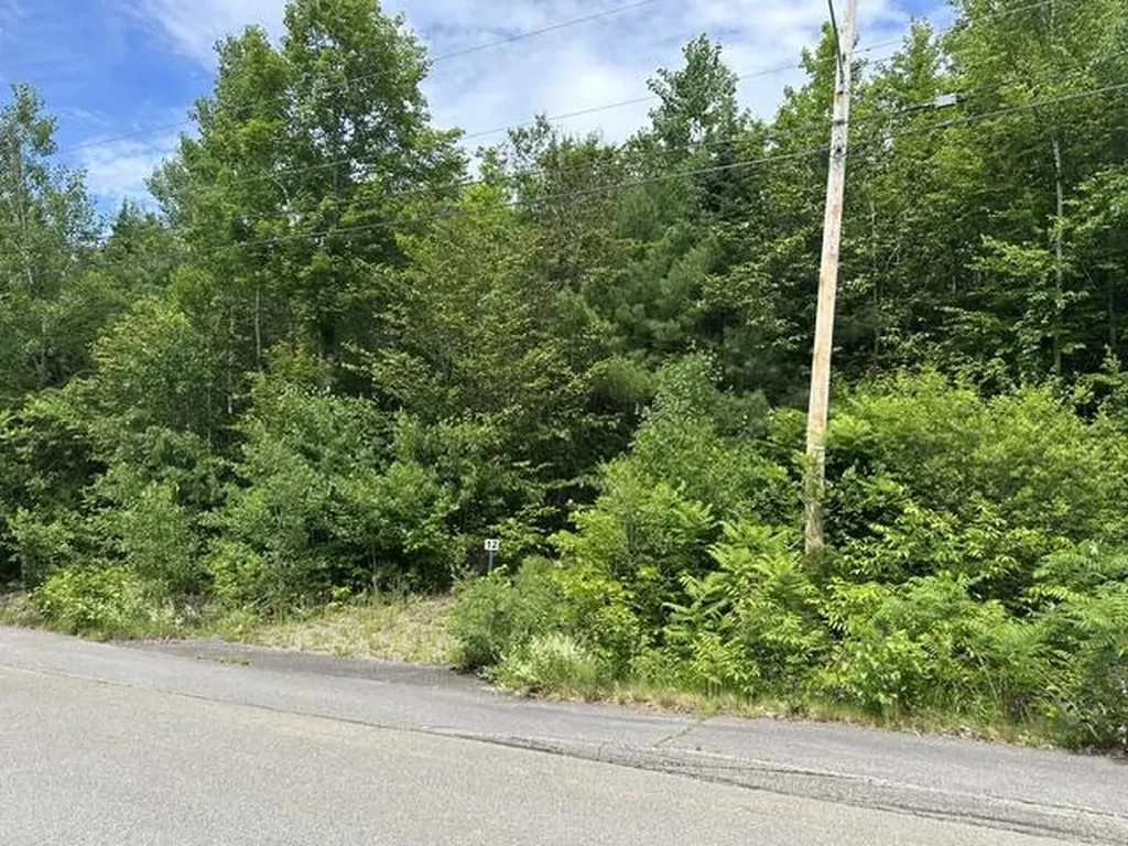 Lot 12 Grant Road Orono ME 04473