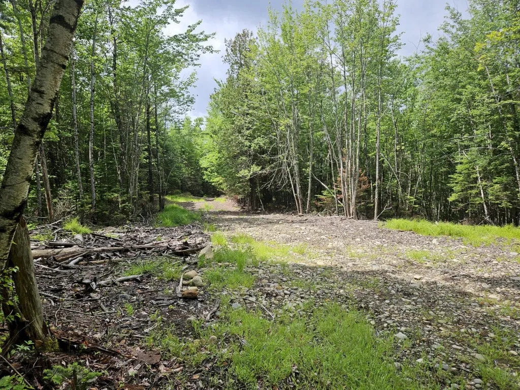 M10 L12-2 Ledge Drive Embden ME 04958