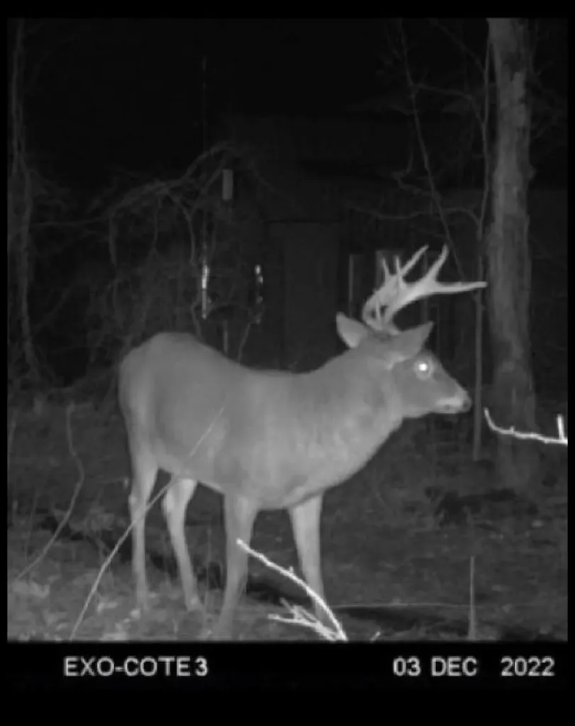608 Adams Road Chesterville ME 04938
