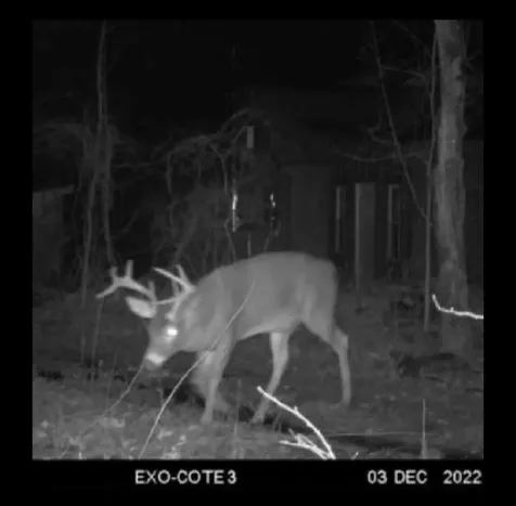 608 Adams Road Chesterville ME 04938