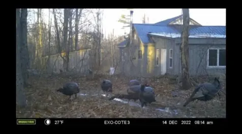 608 Adams Road Chesterville ME 04938