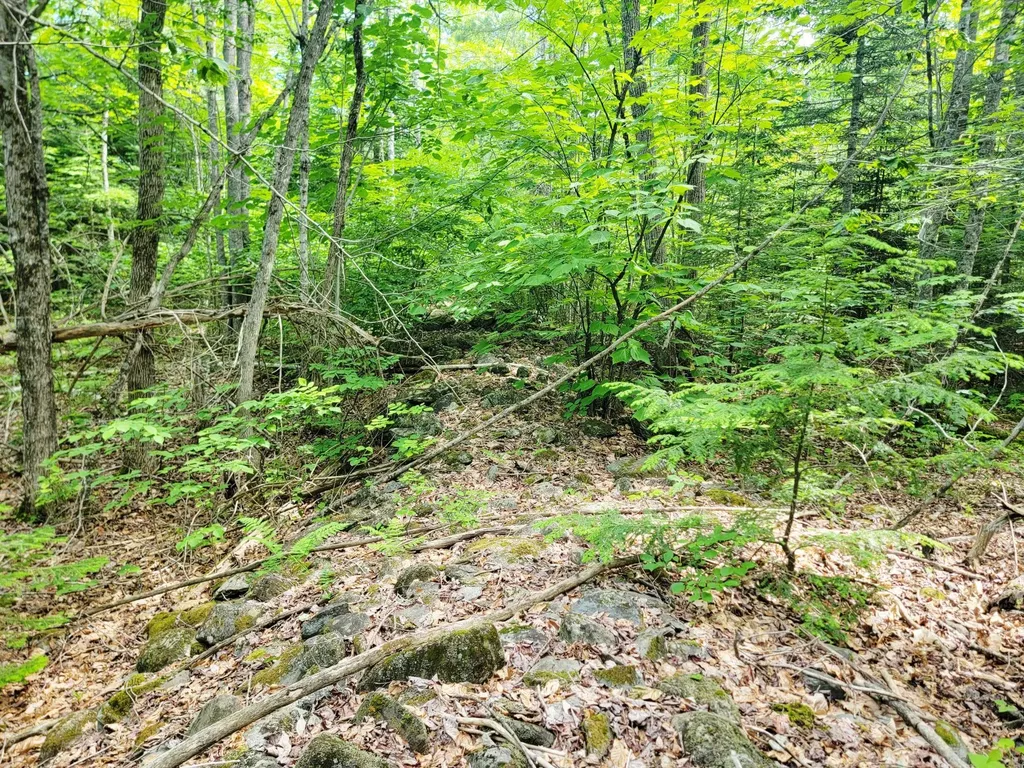 477 Hadley Mill Road Jackson ME 04921