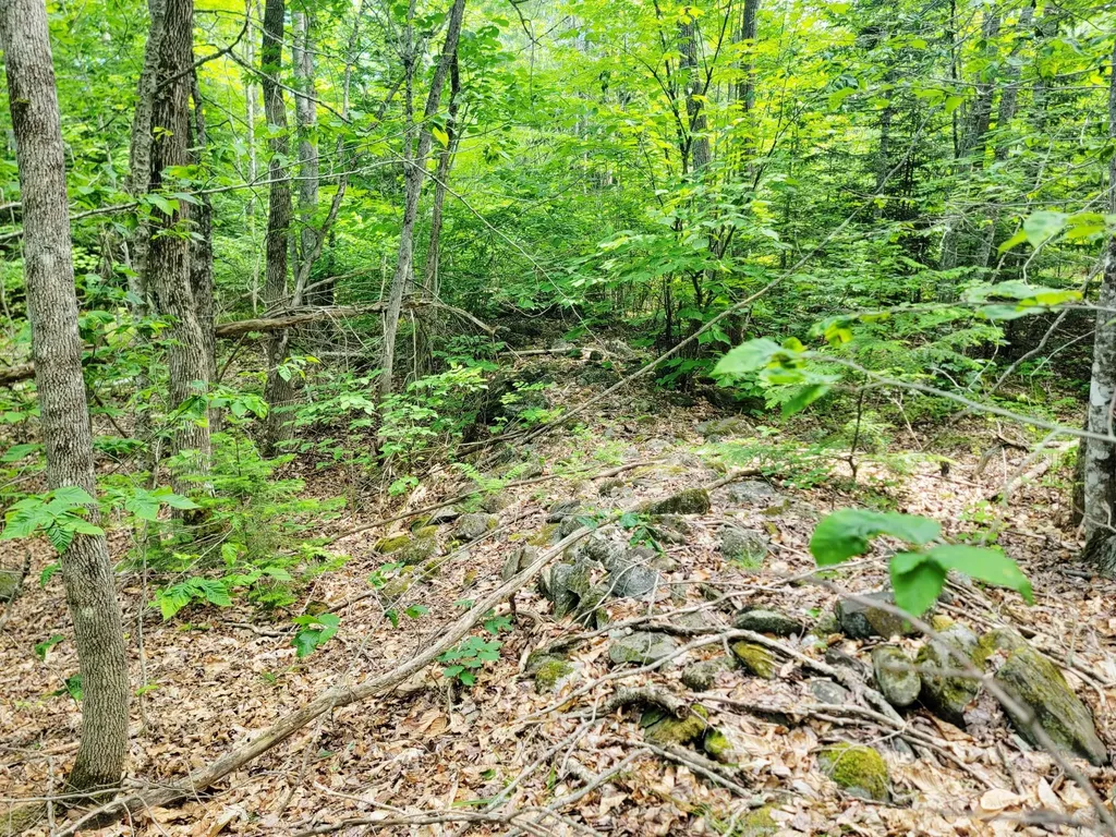 477 Hadley Mill Road Jackson ME 04921