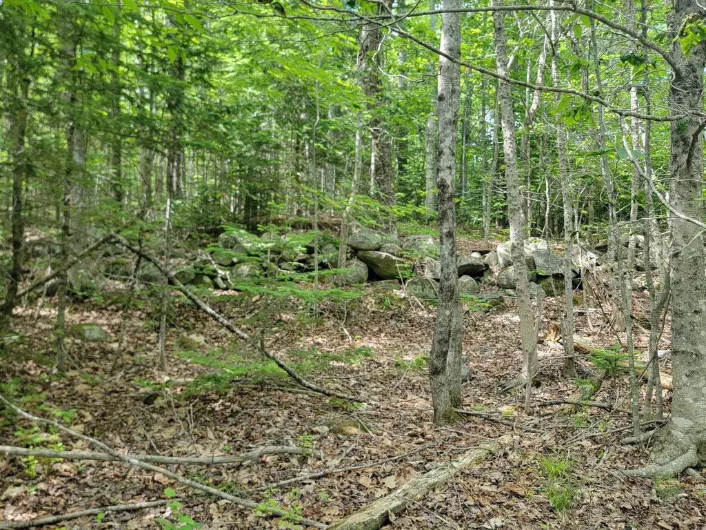 477 Hadley Mill Road Jackson ME 04921