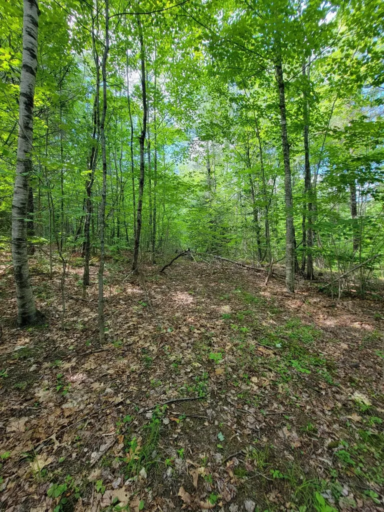 477 Hadley Mill Road Jackson ME 04921