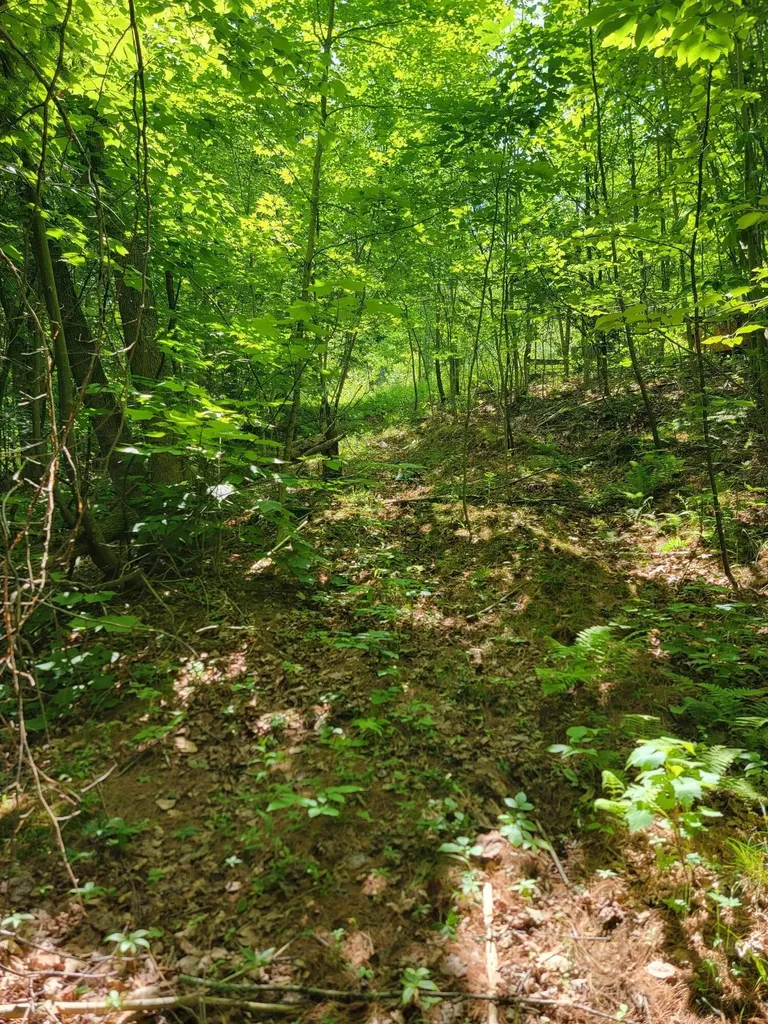 477 Hadley Mill Road Jackson ME 04921