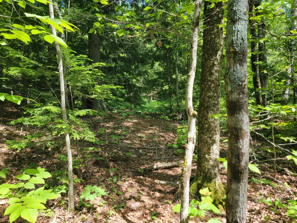 477 Hadley Mill Road Jackson ME 04921