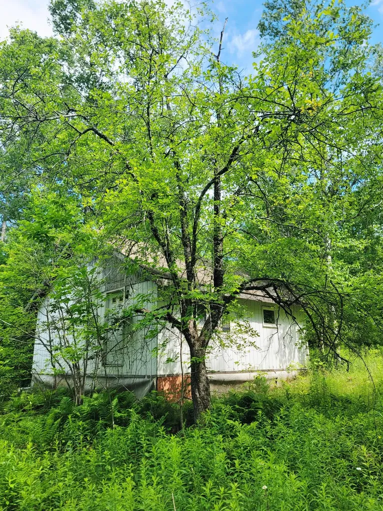 477 Hadley Mill Road Jackson ME 04921