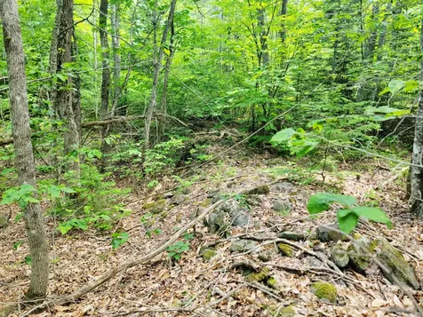 477 Hadley Mill Road Jackson ME 04921