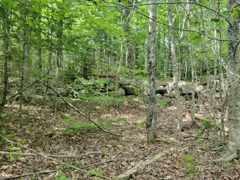 477 Hadley Mill Road Jackson ME 04921