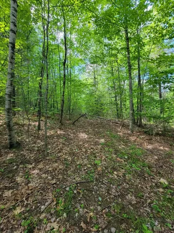 477 Hadley Mill Road Jackson ME 04921