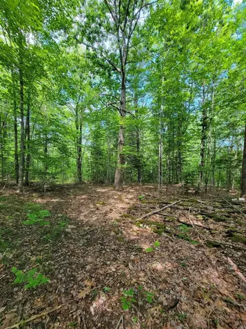 477 Hadley Mill Road Jackson ME 04921