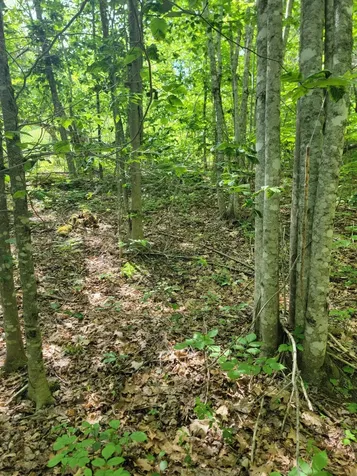 477 Hadley Mill Road Jackson ME 04921