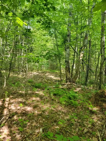 477 Hadley Mill Road Jackson ME 04921