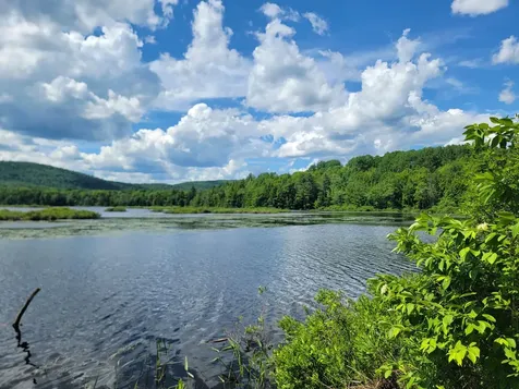 477 Hadley Mill Road Jackson ME 04921