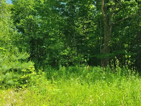 477 Hadley Mill Road Jackson ME 04921