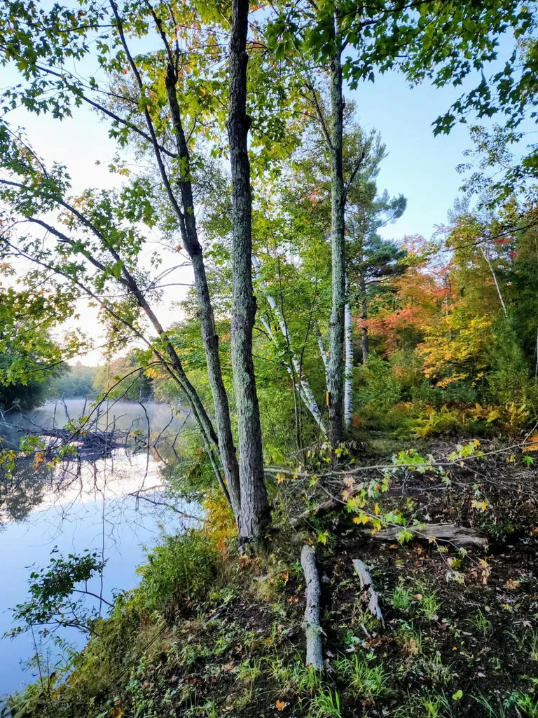 168 Pittsfield Avenue Palmyra ME 04965