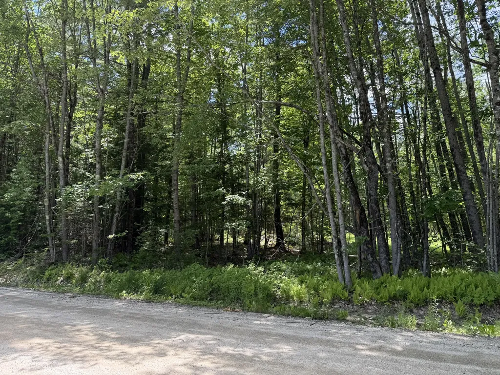 Lot #15-1 Libby Road Pownal ME 04069