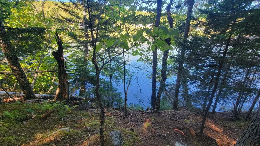 Map Lot 18.1/59-2, 59 East Machias ME 04630