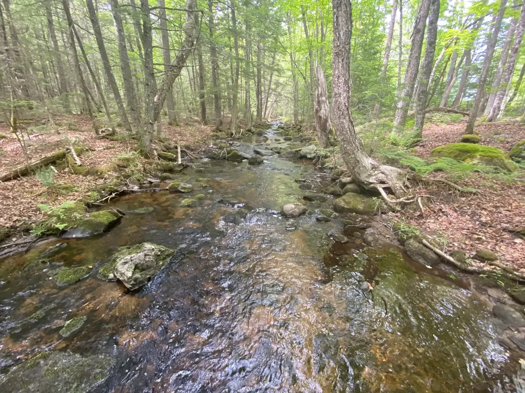 783 Half Township Road Lincoln ME 04457