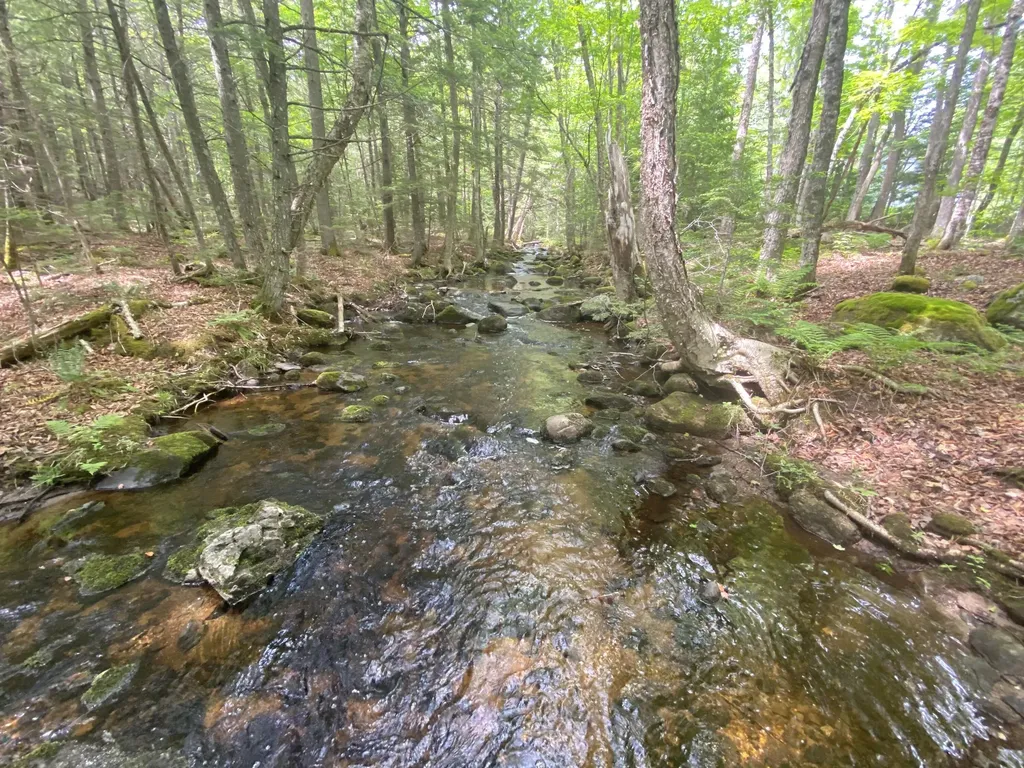 783 Half Township Road Lincoln ME 04457
