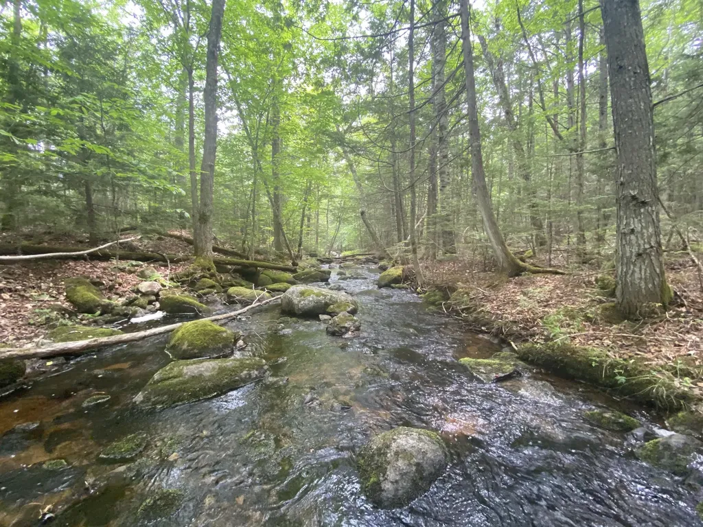 783 Half Township Road Lincoln ME 04457