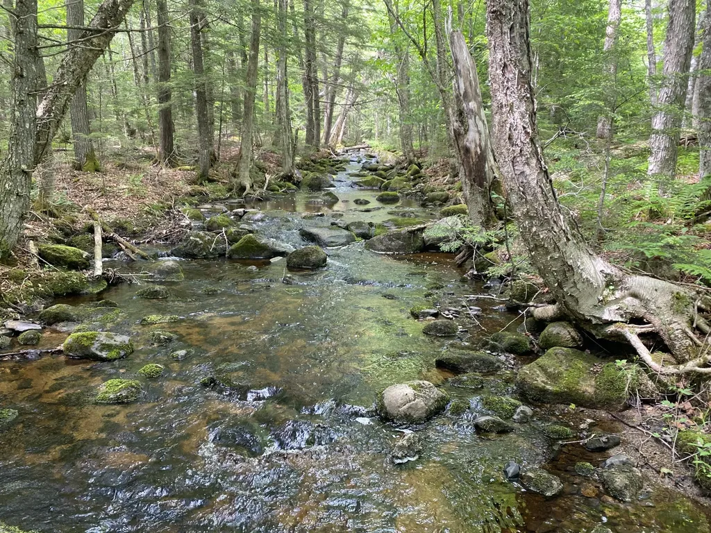 783 Half Township Road Lincoln ME 04457