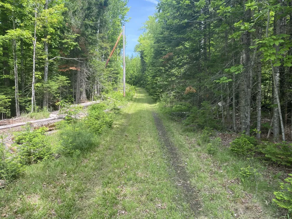 783 Half Township Road Lincoln ME 04457