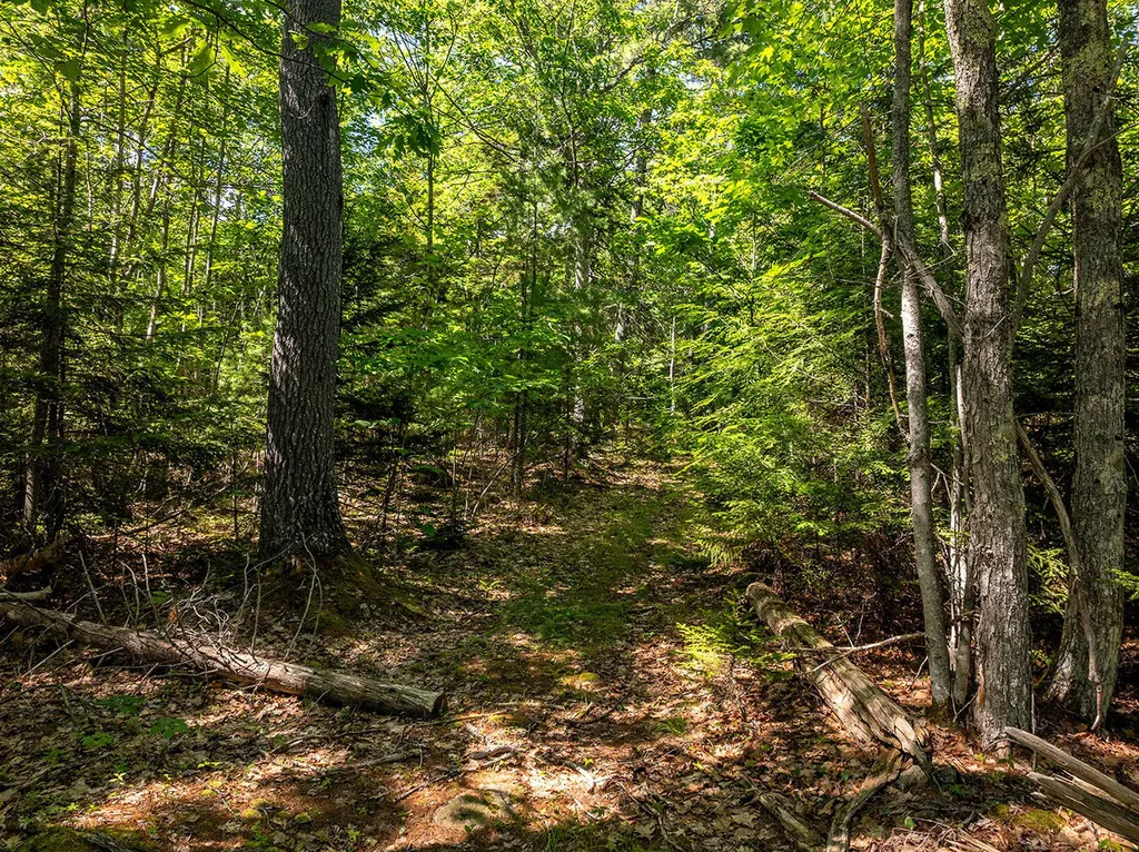 12-16 Atlantic Highway Lincolnville ME 04849