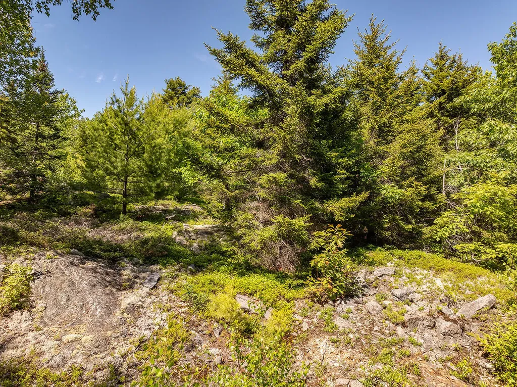 12-16 Atlantic Highway Lincolnville ME 04849