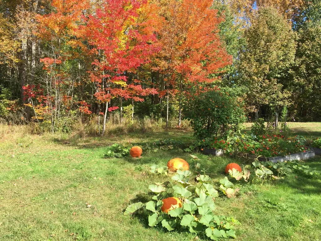 1341 Appleton Road Union ME 04862