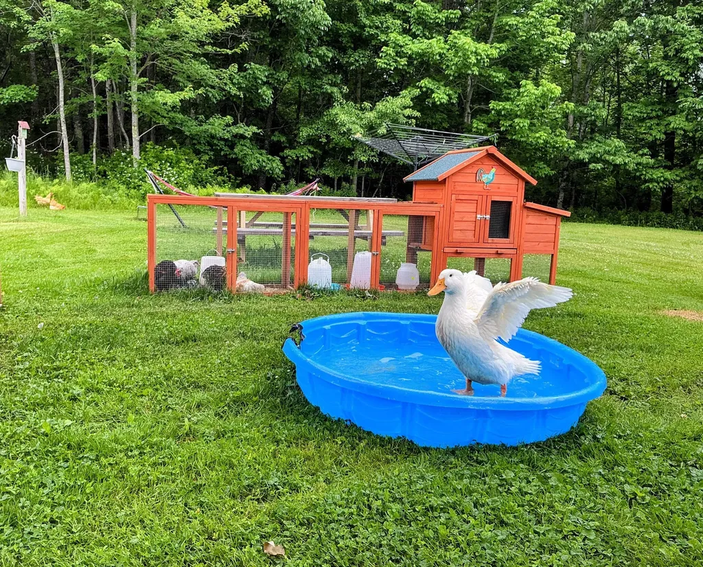 1341 Appleton Road Union ME 04862