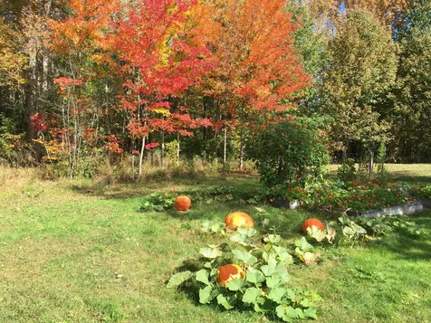 1341 Appleton Road Union ME 04862