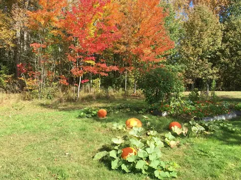 1341 Appleton Road Union ME 04862