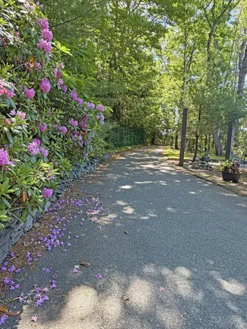 79 Park Street Ellsworth ME 04605