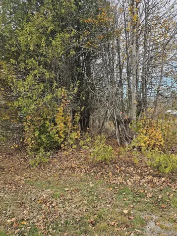 Map 15, Lot 109, Main Street Franklin ME 04634