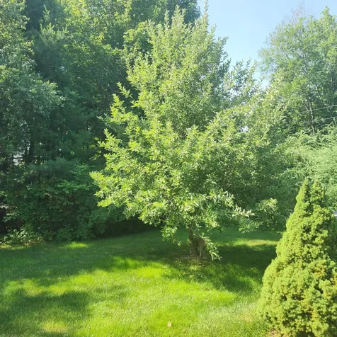 2 Dragonfly Drive Scarborough ME 04074