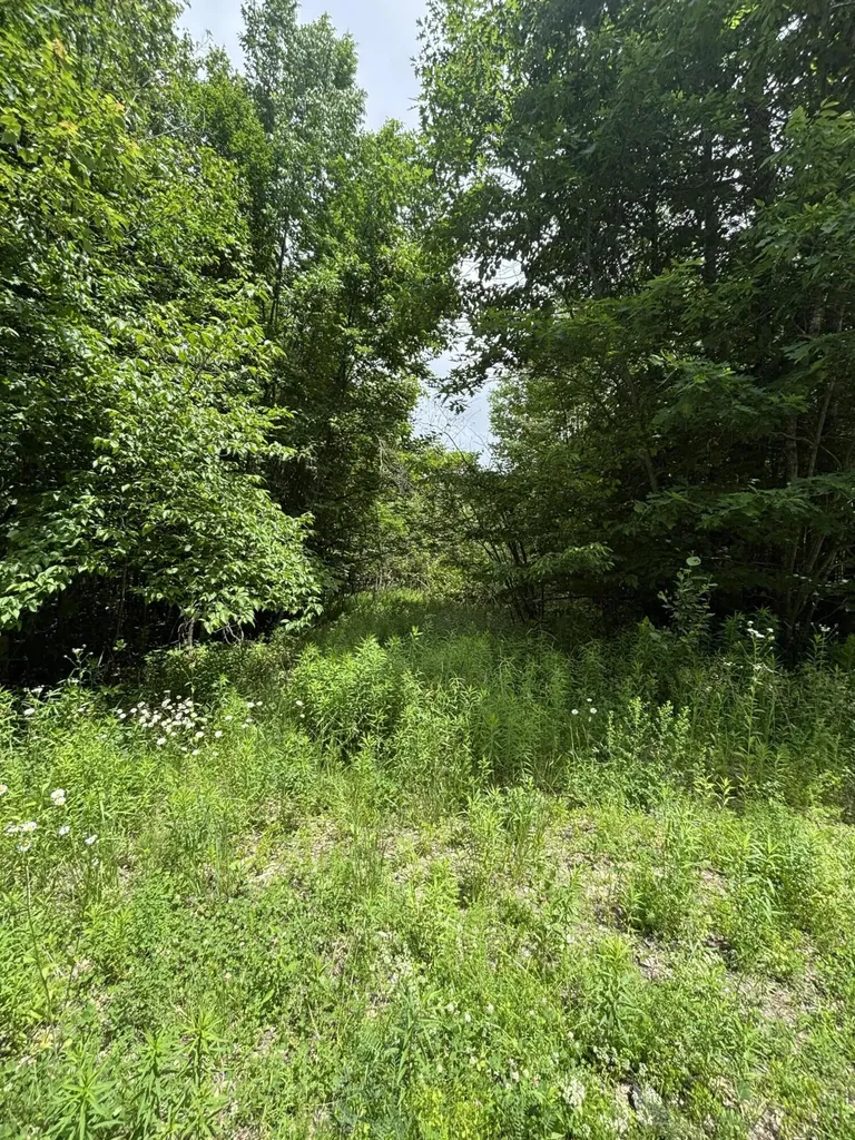# Ledge Hill Road Corinth ME 04427