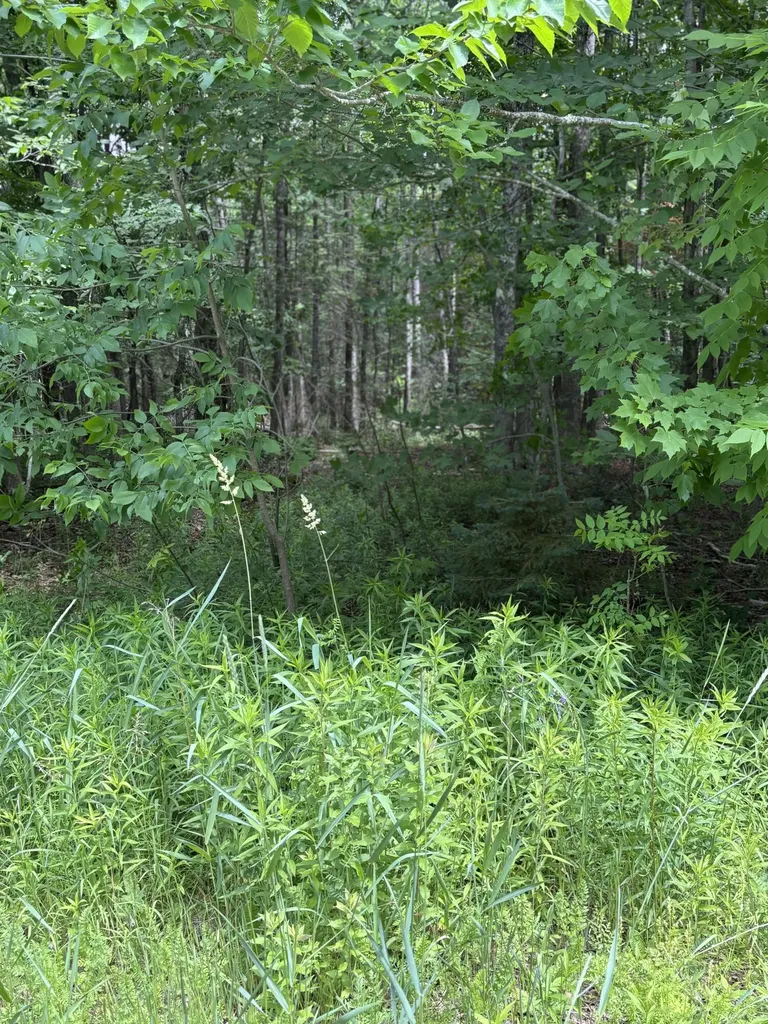 # Ledge Hill Road Corinth ME 04427