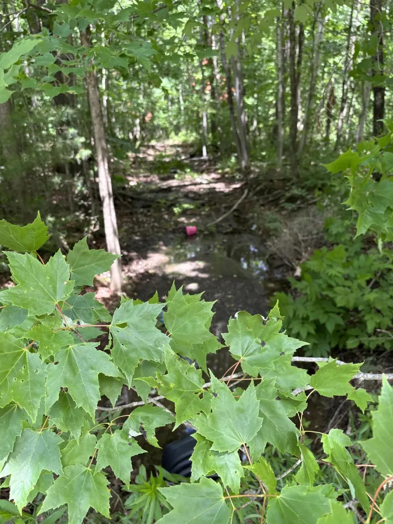 # Ledge Hill Road Corinth ME 04427