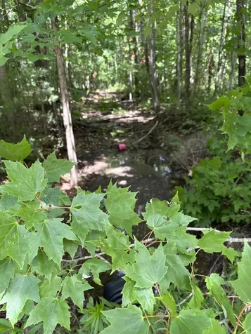 # Ledge Hill Road Corinth ME 04427
