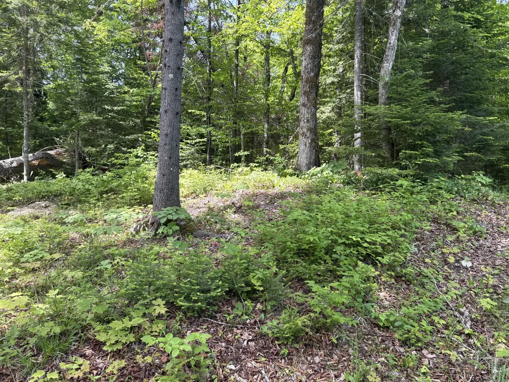 Lot 12 S South Branch Road Tc R2 Wels ME 04735
