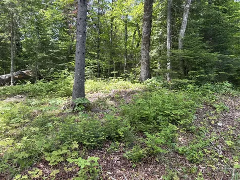 Lot 12 S South Branch Road Tc R2 Wels ME 04735
