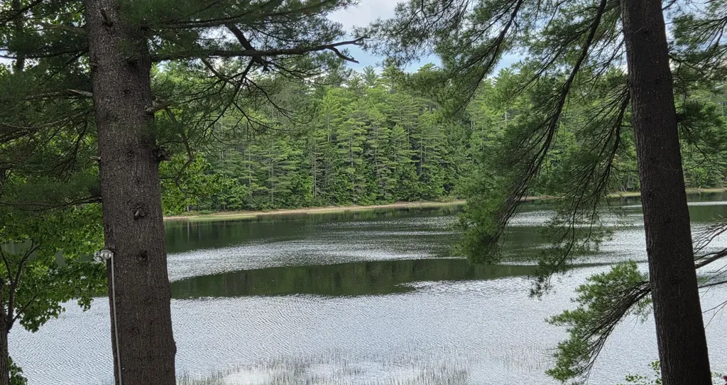 166 Hogan Pond Lane Oxford ME 04270