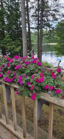 166 Hogan Pond Lane Oxford ME 04270