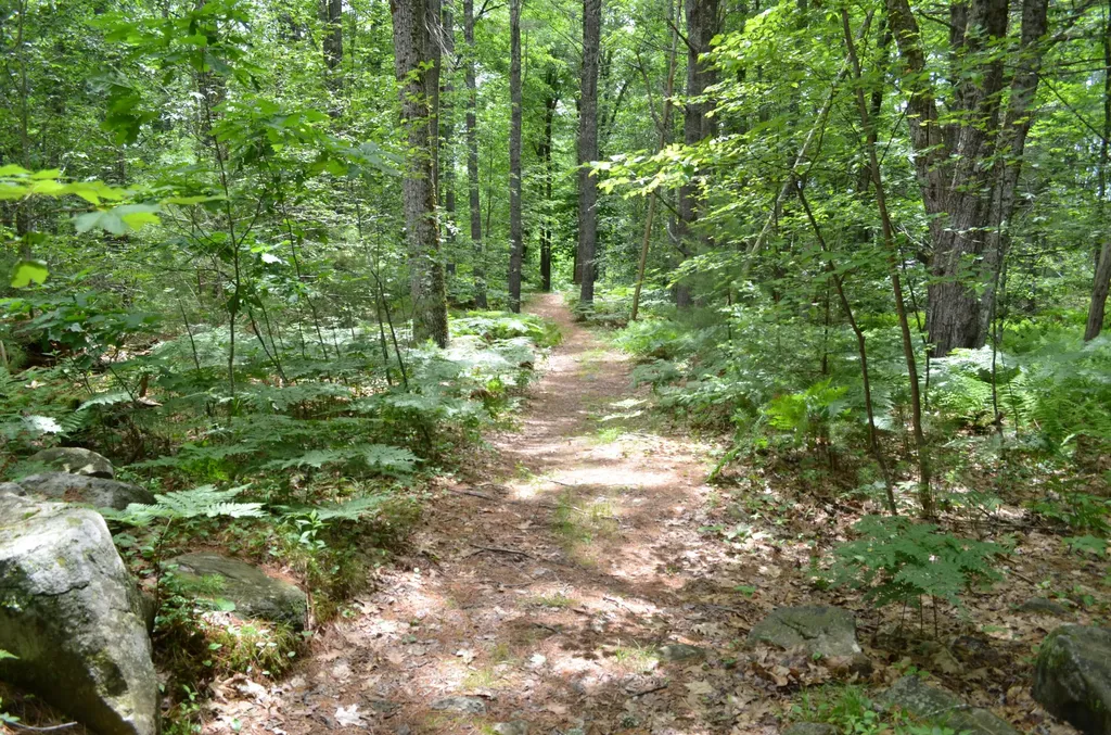 11 Heron Cove Road Jefferson ME 04348