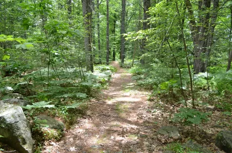 11 Heron Cove Road Jefferson ME 04348