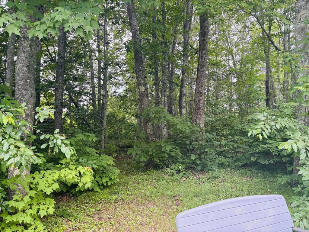 11 Rob Clark Street Winterport ME 04496