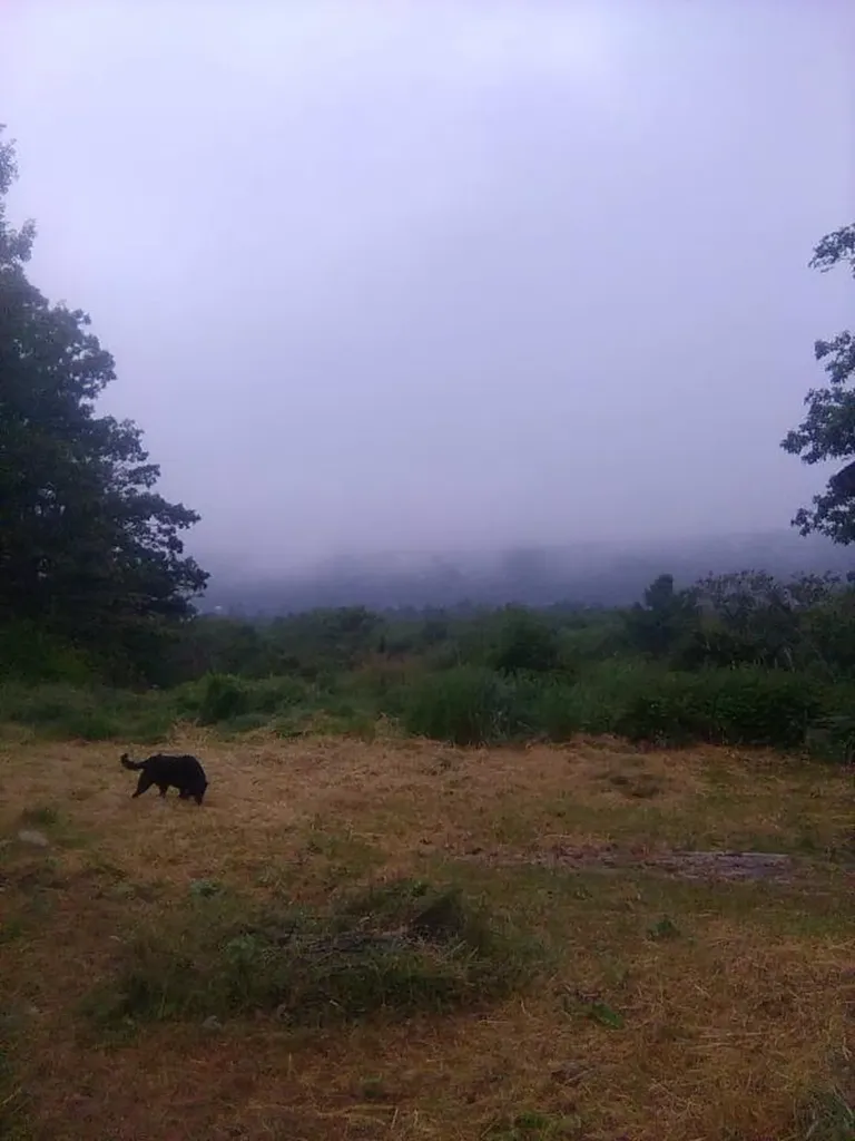 306 Cross Point Road Edgecomb ME 04556
